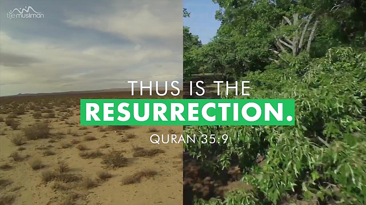 The example of resurrection زمان95ثانیه