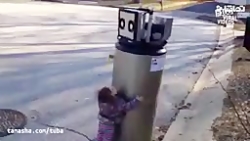 ویدئو های وایرال