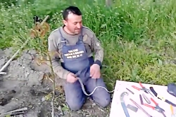 پیوند نیمانیم زبانه ای گردو از...