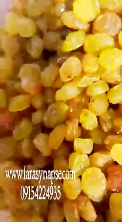 کشمش طلایی پلویی درجه۱ معمولی