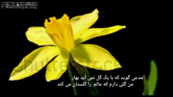 کلیپ تبریک نیمه شعبان و میلاد...