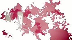 رونمایی از لباس جدید رئال مادر...