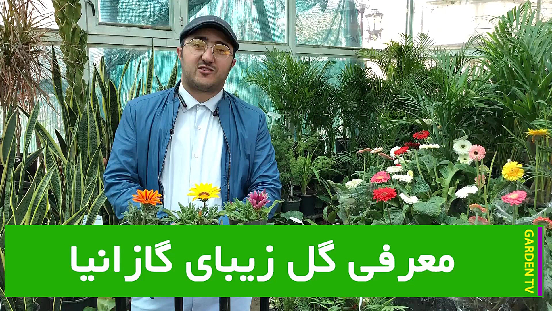 گاردنTV قسمت چهارم؛ معرفی گیاه گازانیا (بخش اول) زمان61ثانیه