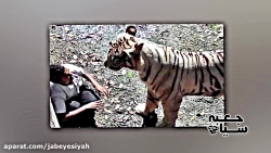 9 عکس وحشتناک تاریخ بشریت