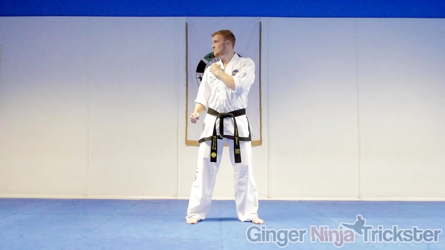 Taekwondo Side Kick Tutorial GNT How to