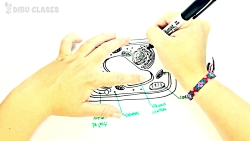 Cómo dibujar una Célula Vegeta...