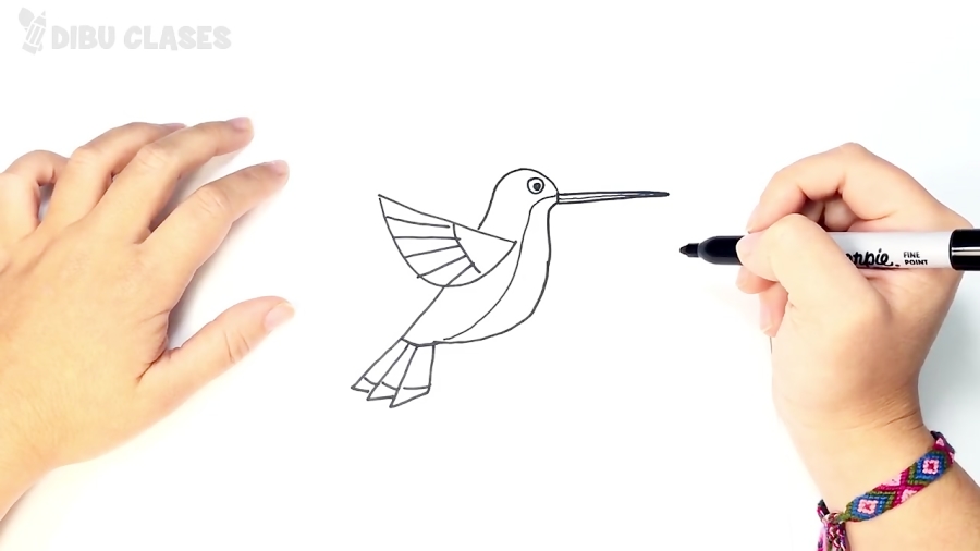 Como Dibujar Un Colibri Paso A Paso Dibujo Facil De Colibri