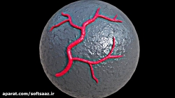 شبیه سازی رشد شاخه ها و رگ ها...