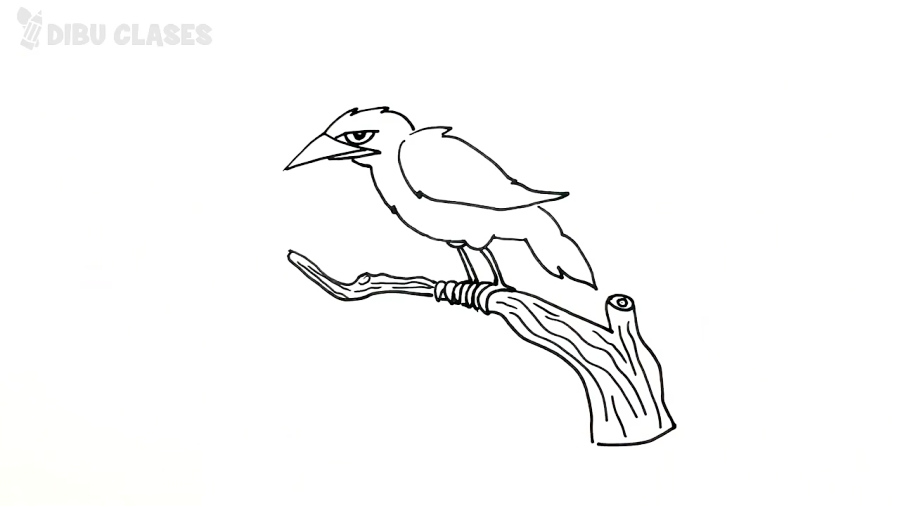 Como dibujar un Cuervo paso a paso | Dibujo fácil de Cuervo