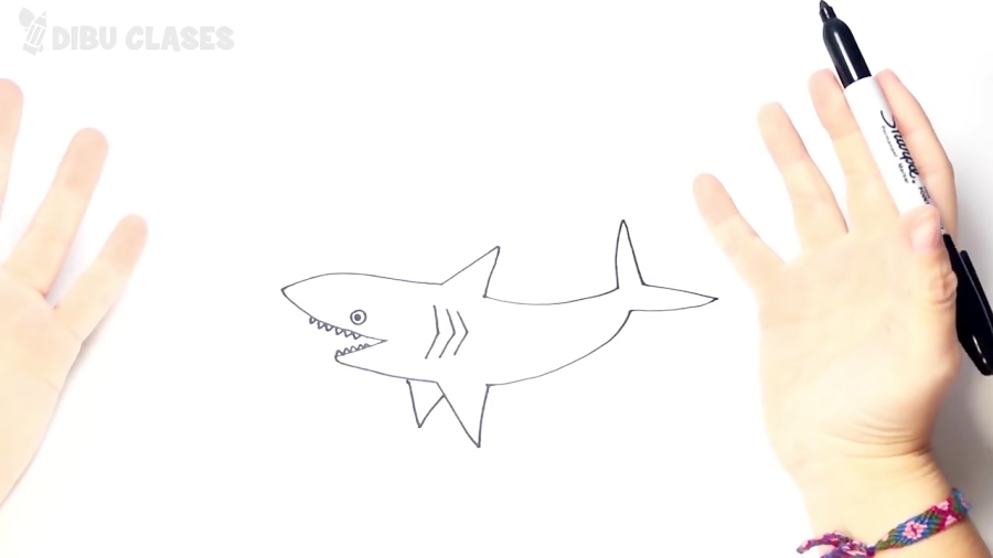 Cómo dibujar un Tiburón paso a paso | Dibujo fácil de Tiburón