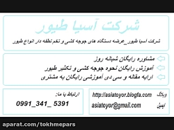 فروش تخم نطفه دار بوقلمون با ت...