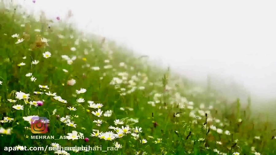 ÙØªÛØ¬Ù ØªØµÙÛØ±Û Ø¨Ø±Ø§Û Ø¬Ø´Ù Ø¨Ø§Ø¨ÙÙÙ ÙÙØ¯ÙÙÙ