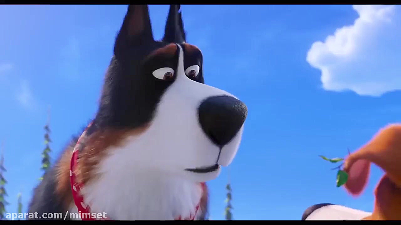 تریلر انیمیشن زندگی پنهان حیوانات خانگی ۲ - The Secret Life of Pets 2 زمان177ثانیه