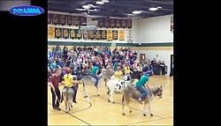 فیلم خنده دار به فنا رفتگان  f...