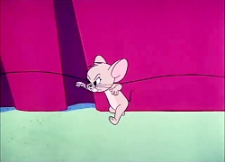 کارتون تام و جری (موش و گربه)...