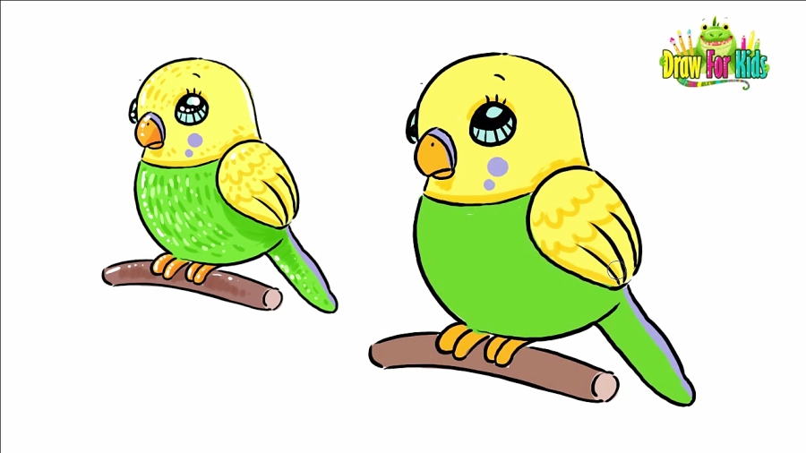 Featured image of post How To Draw A Cute Budgie Step By Step Add guideline for its tale
