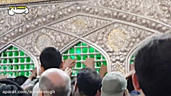 کمتر از آهو که نیستم، می شه ضا...