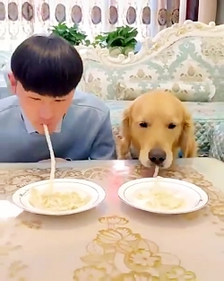 چه رقابت نفس گیری