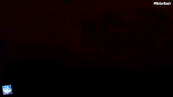 سید حسن آقا میری