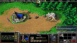 Warcraft 3 - Gameplay