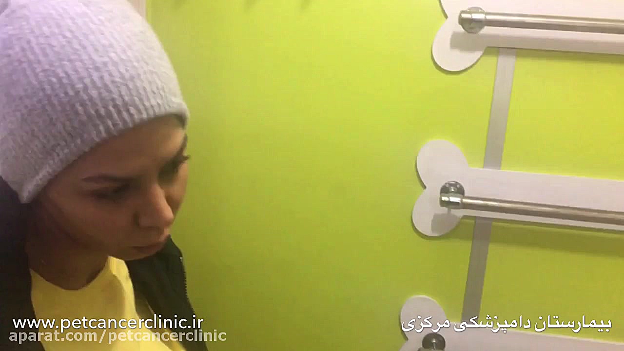 شیمی درمانی سگ روکش دندان