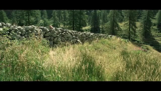 Minuscule Valley Of The Lost Ants 1080p زمان123ثانیه