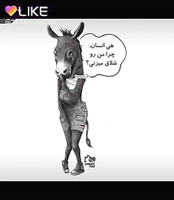 حیوانات حیوانات