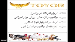 فروش و توزیع تخم نطفه دار بوقل...