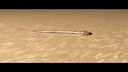 مار در سینما فور دی