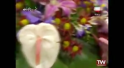 کمدی خنده دار حسن ریوندی و هوم...