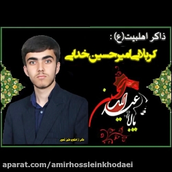 کربلایی امیرحسین خدایی احوالات...