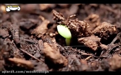 حواست هست هنوز خیلی چیزها موند...