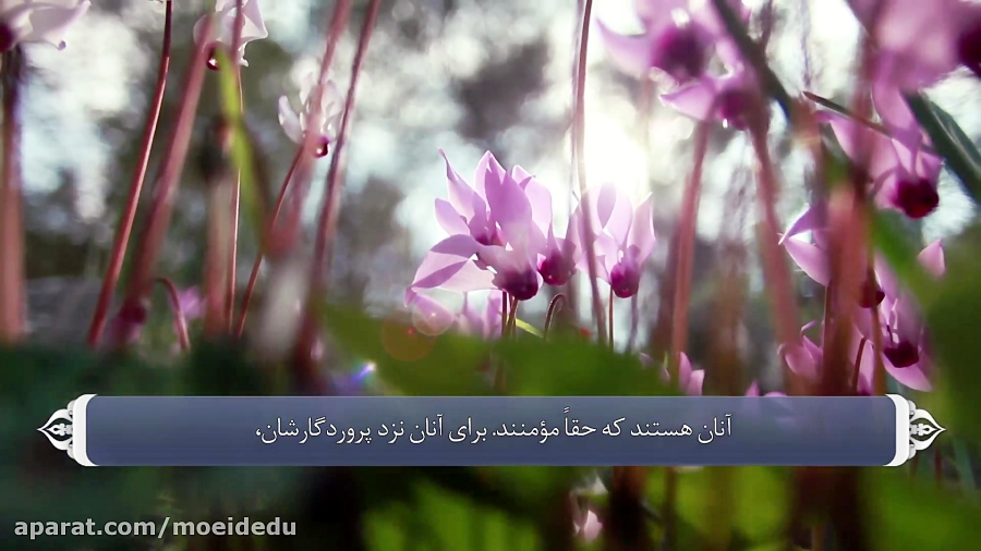 ( 008 ) سوره انفال ترجمه صوتی تصویری قرآن حکیم