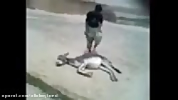 آزار دادن الاق