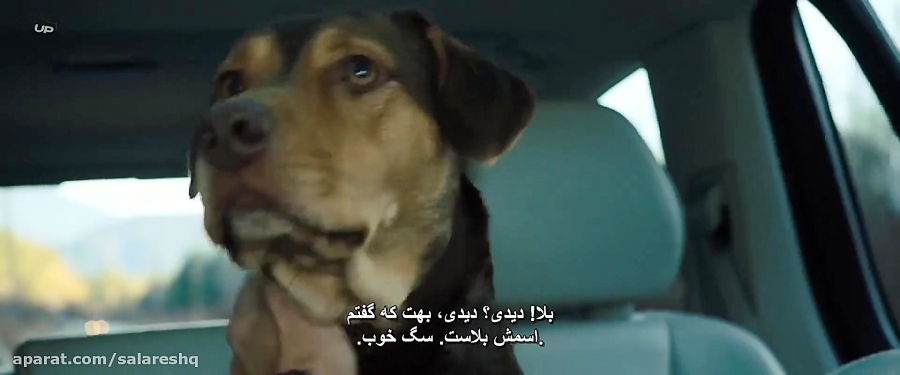 فیلم مسیر بازگشت یک سگ به خانه A Dogs Way Home 2019 زیرنویس فارسی عید الزهرا HD زمان5713ثانیه