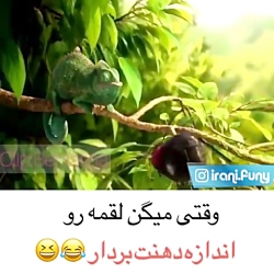 کلیپ خنده دار  لقمه اندازه دهن