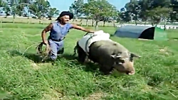 کلیپ فوق العاده خنده دار