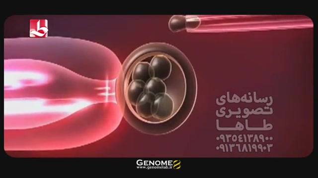 کلیپ تبلیغاتی مرکز ژنتیک پزشکی ژنوم تست کورتیزول دیورنال