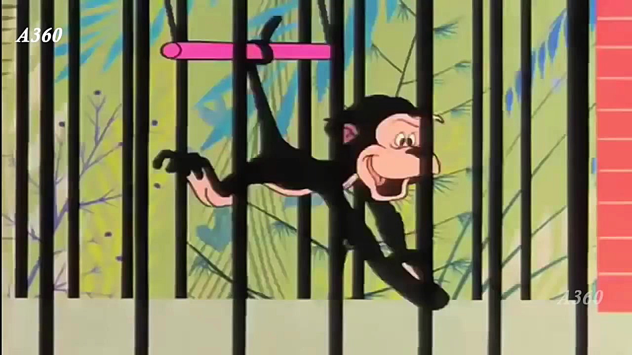 Donald Duck Chip and Dale Full Episode Collection 30 Min Videos راوالیزوماب