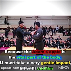 آموزش دفاع شخصی حرفه ای خیابان...