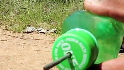 ساخت تله برای کبوتر