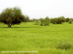 چابهار .بین روستای عورکی و روس...