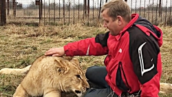 دوستی با حیوانات درنده (4 )