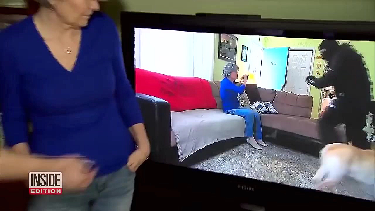Dogs Tested to See Whether They’d Defend Owner During Home Invasion کلونیک اسپاسم