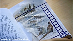 فیلم سریال سینمایی فرار از زند...