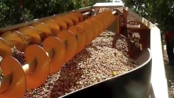 نبینی از دست رفته جزییات بشتر...