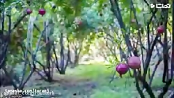 موسیقی بی کلام به نام تگرگ و آ...