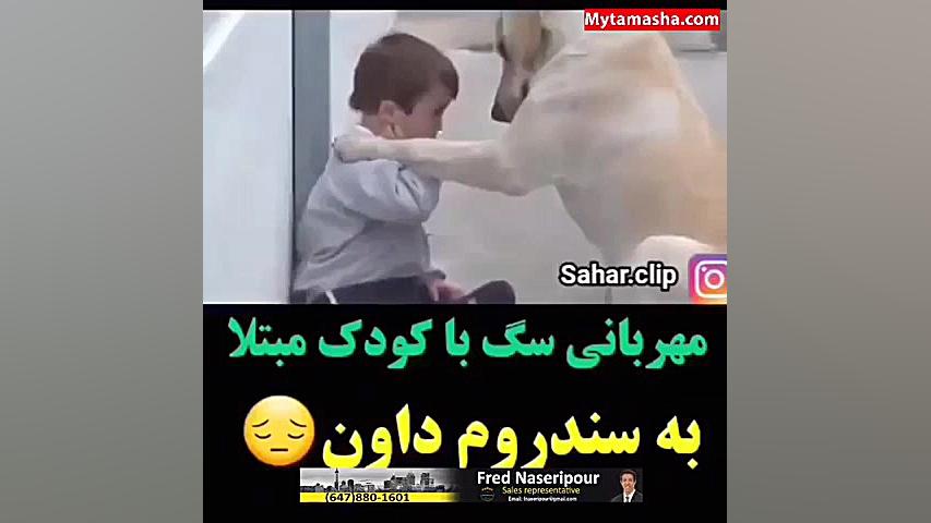 مهربانی سگ با کودک مبتلا به سندروم دان آزمون CRISPR-Cas9 اثرات جانبی