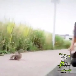 خانم اردکه و بچه هاش