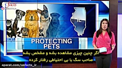 وضع قانون جدیدی که  صاحبان سگ را در قبال حمله آنان مسئول می داند
